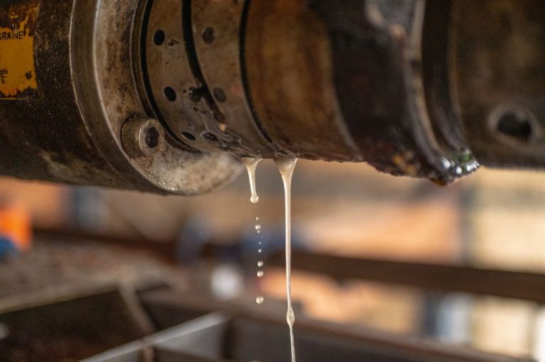 La_presse_à_huile_réalise_un_pressage_à_froid